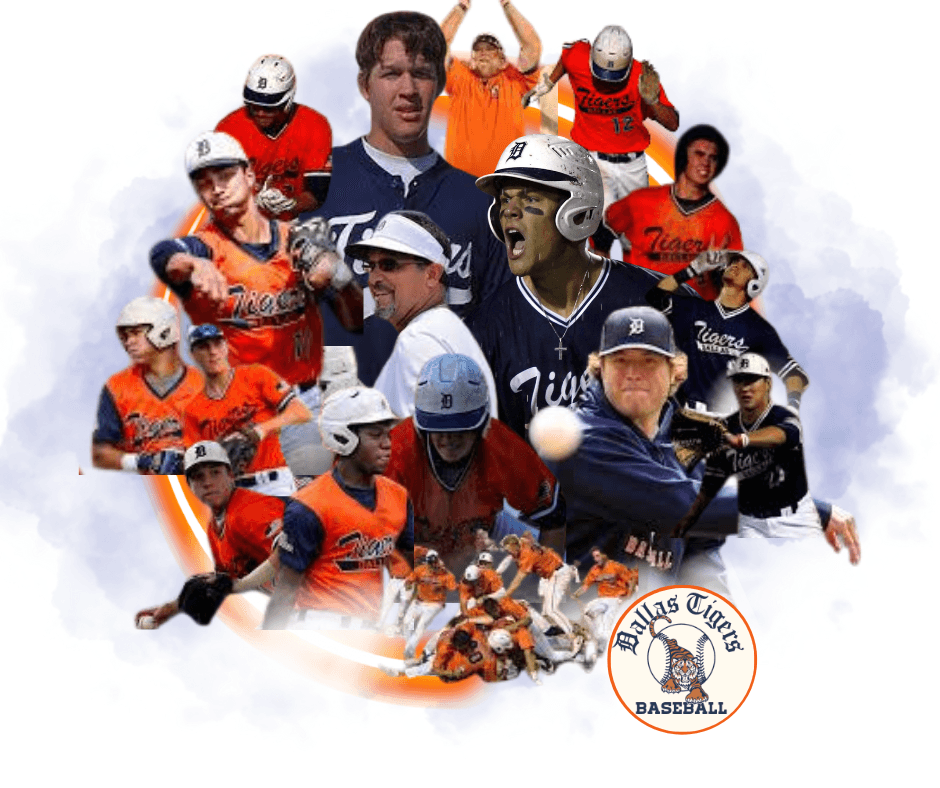 Dallas Tigers 14U Northeast logo